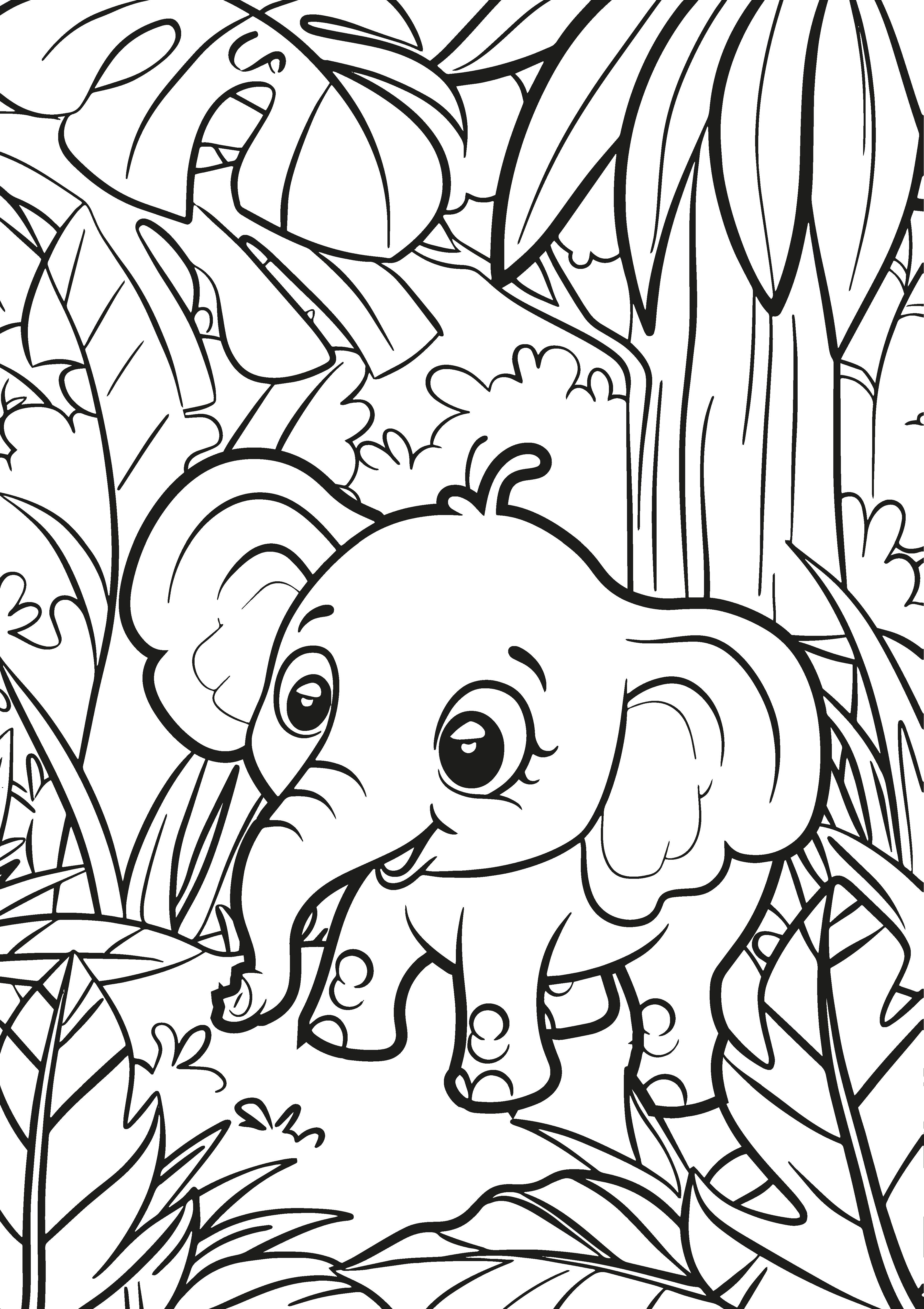 Animal Kingdom XXL Coloring Book | Nova Toys - LOCAL PICKUP ONLY