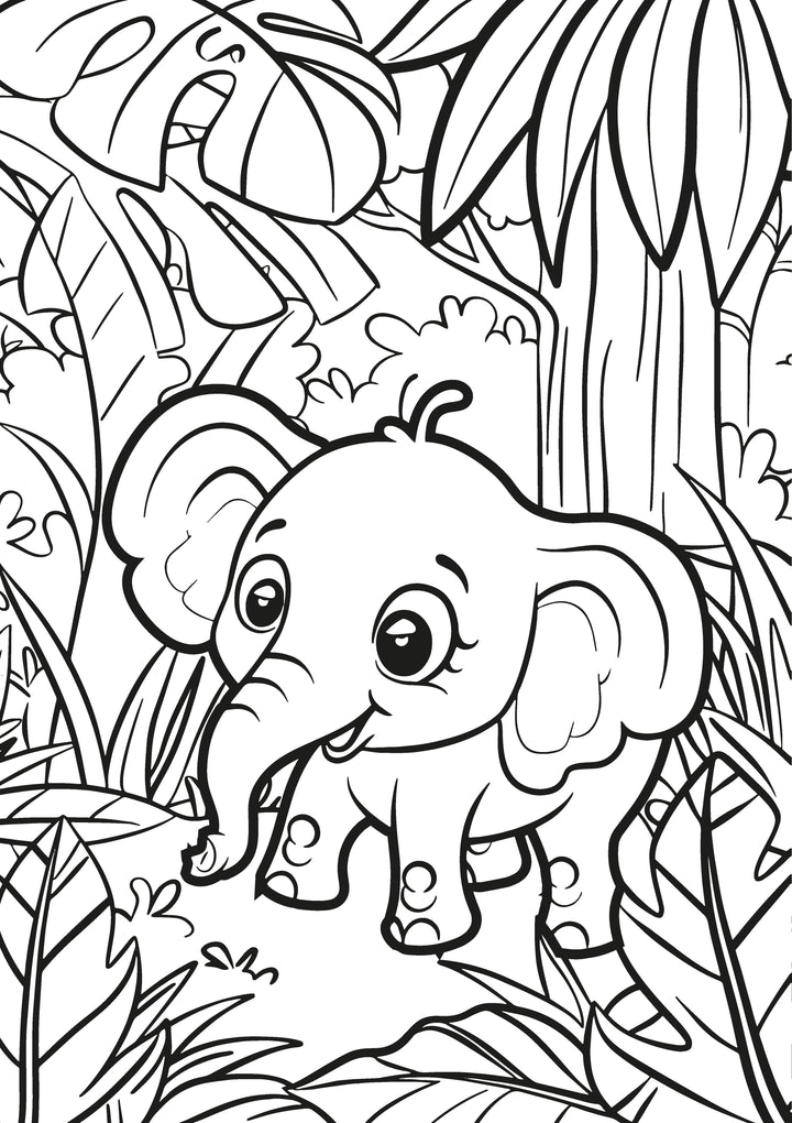 Animal Kingdom XXL Coloring Book | Nova Toys - LOCAL PICKUP ONLY