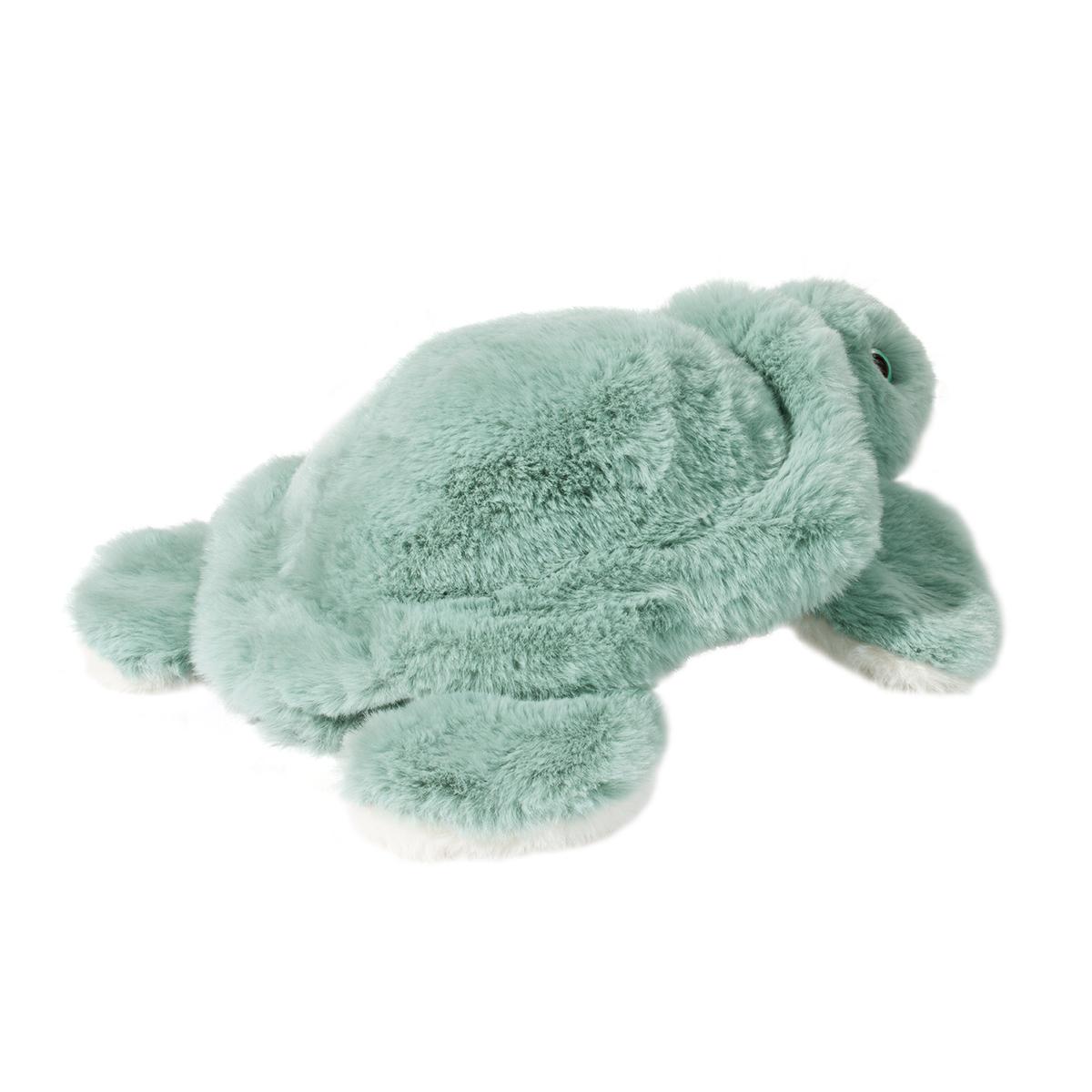 Jade Sea Turtle | Douglas