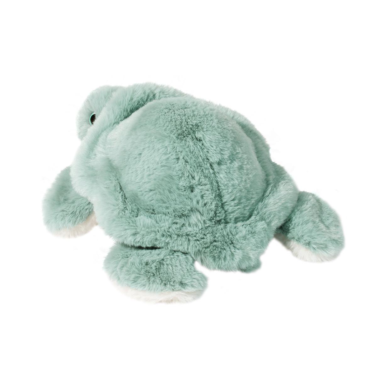 Jade Sea Turtle | Douglas