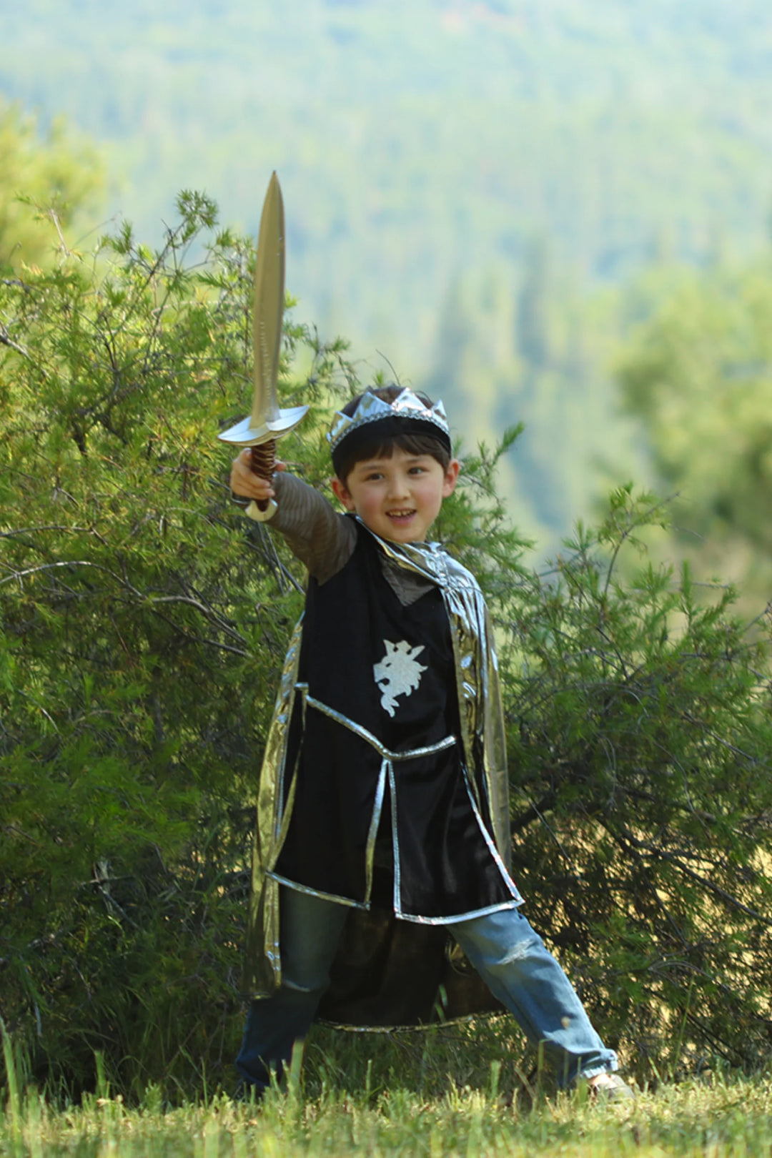 Silver Knight With Tunic, Cape, & Crown | Great Pretenders