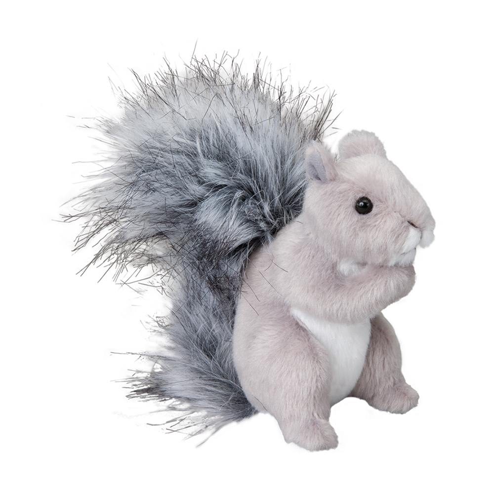 Shasta Gray Squirrel | Douglas
