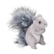 Shasta Gray Squirrel | Douglas
