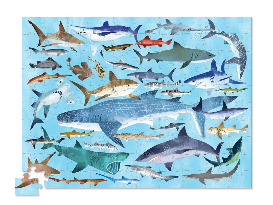 100-Piece Puzzle - 36 Sharks | Crocodile Creek