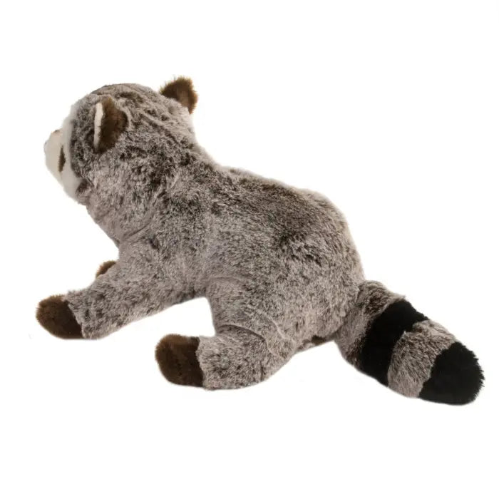 Ringo Raccoon | Douglas