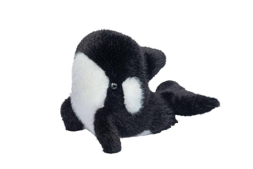 Lil' Baby Orca Whale | Douglas