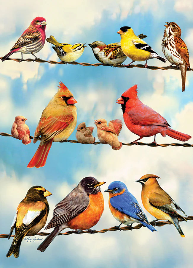 Birds on a Wire Puzzle - 500 Piece | Cobble Hill