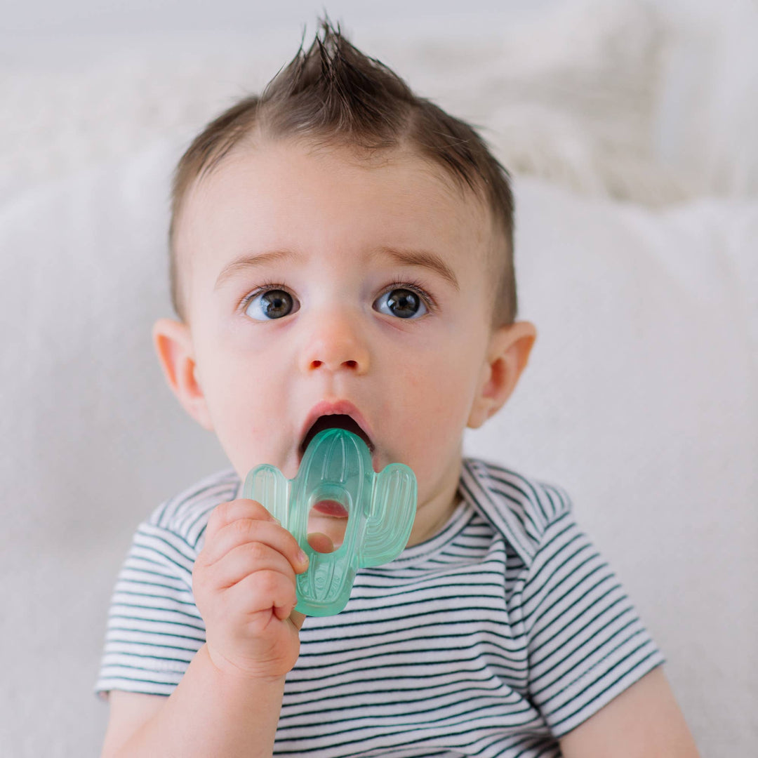 Cutie Coolers™ Seaside Water Filled Teethers (3-pack)