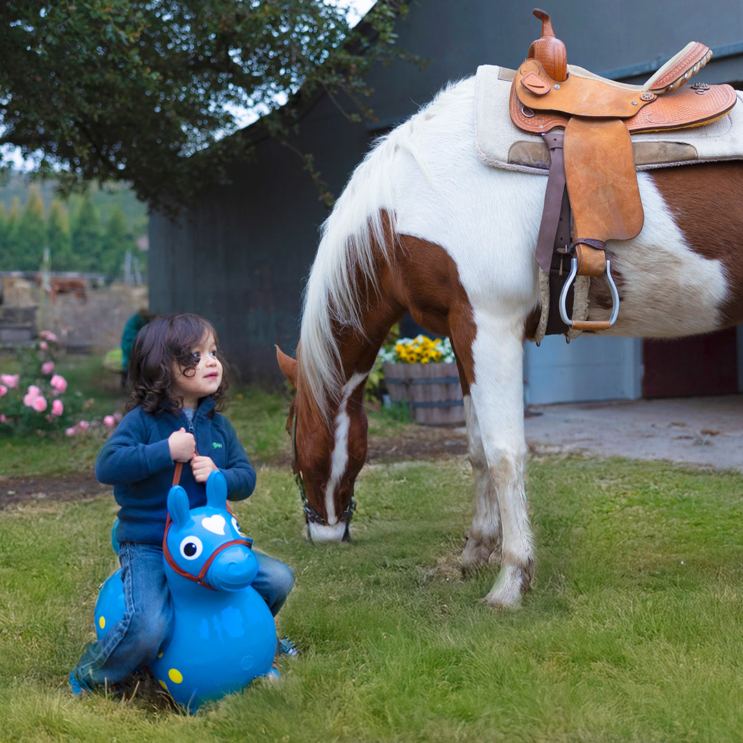 Rody Bridle & Saddle Accessory | Kettler