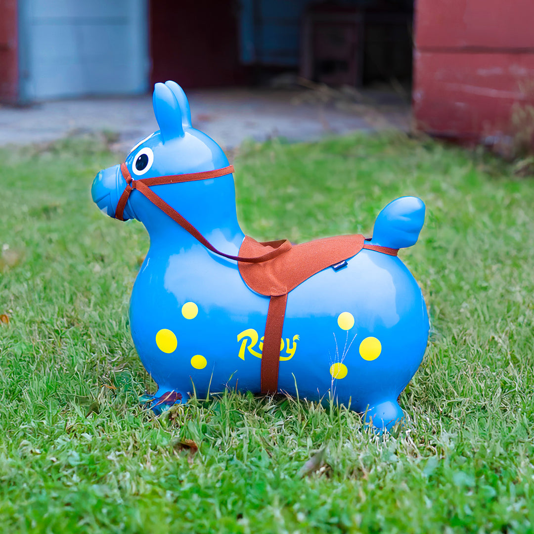 Rody Bridle & Saddle Accessory | Kettler