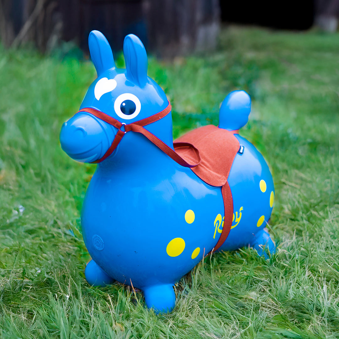 Rody Bridle & Saddle Accessory | Kettler