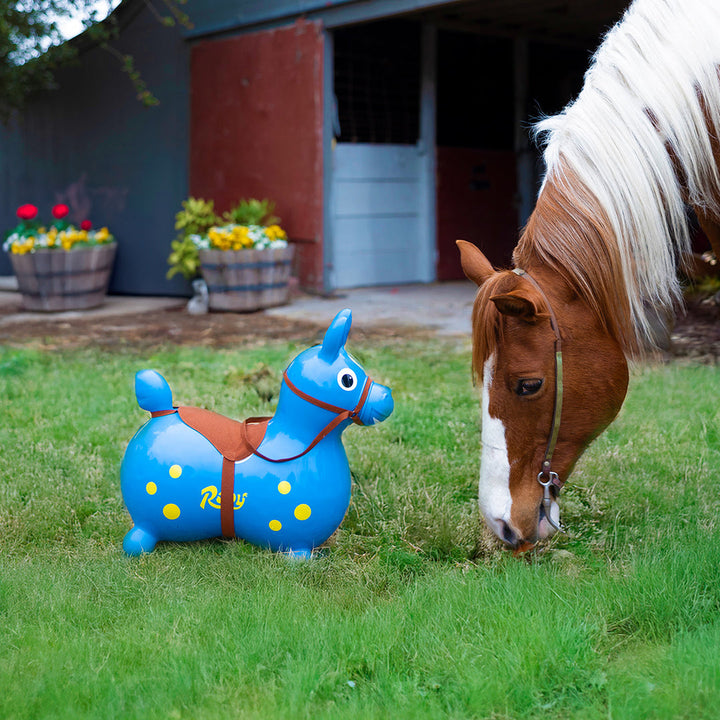 Rody Bridle & Saddle Accessory | Kettler