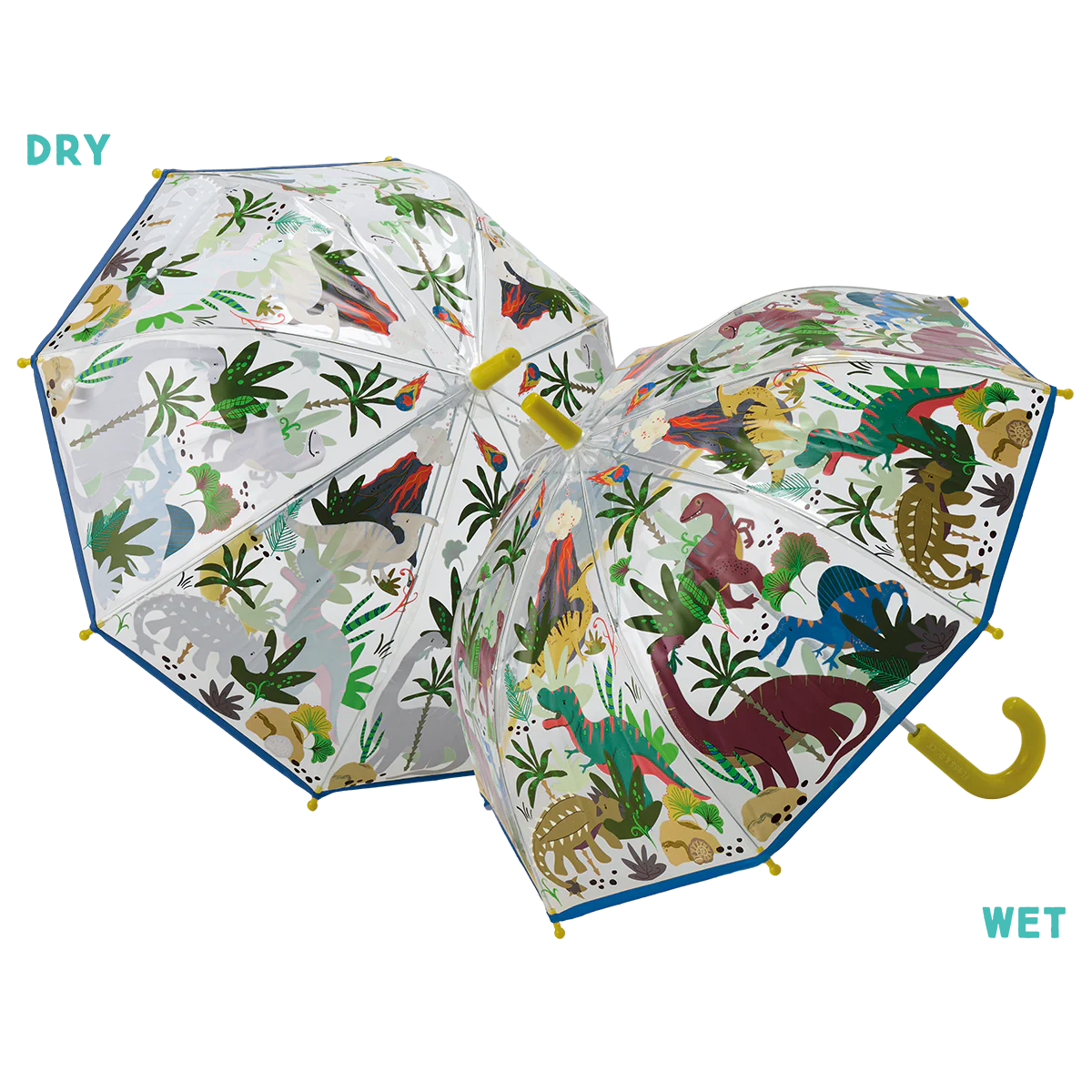 Dino Transparent Color Changing Umbrella | Floss and Rock- LOCAL PICK UP ONLY