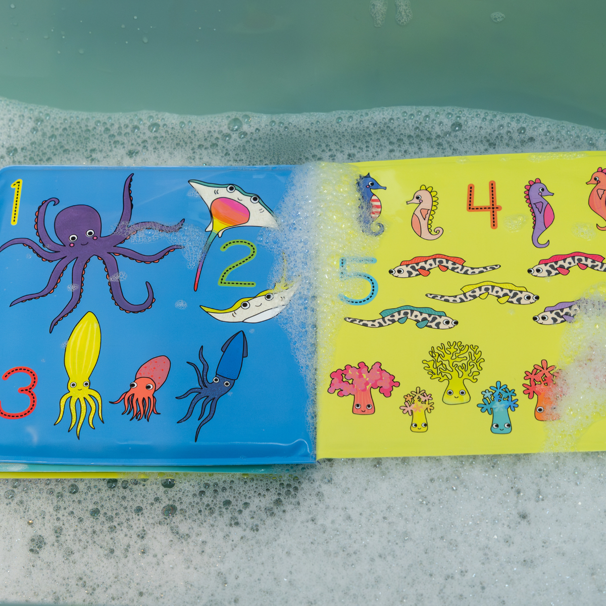 Ocean Magic Water Bath Book | Floss & Rock