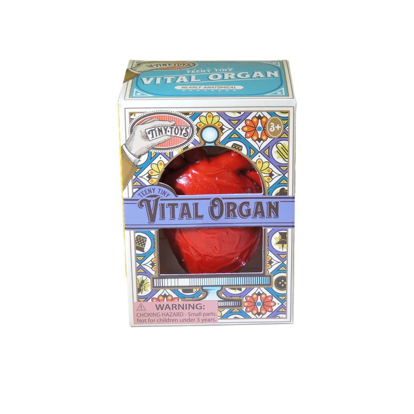 Teeny Tiny Vital Organ | Toysmith