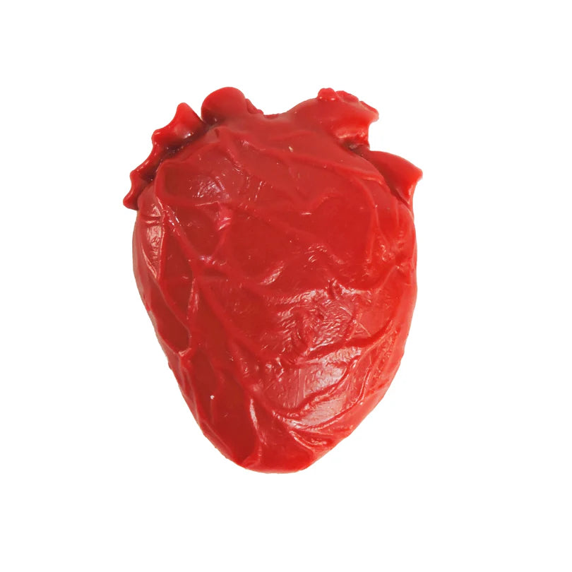 Teeny Tiny Vital Organ | Toysmith