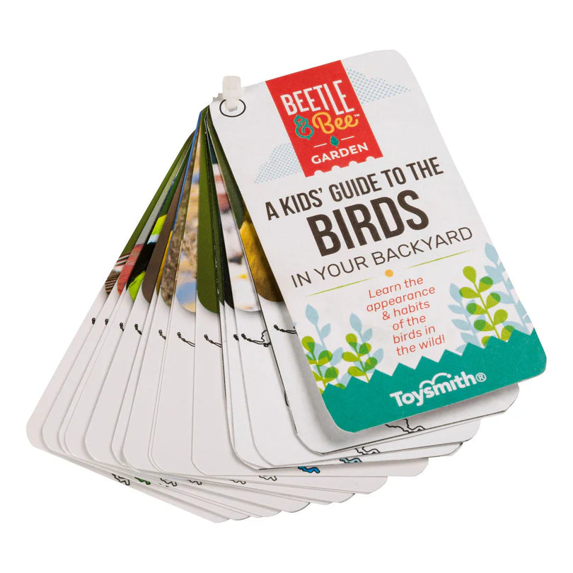 Beetle & Bee Garden Little Birder Set | Toysmith