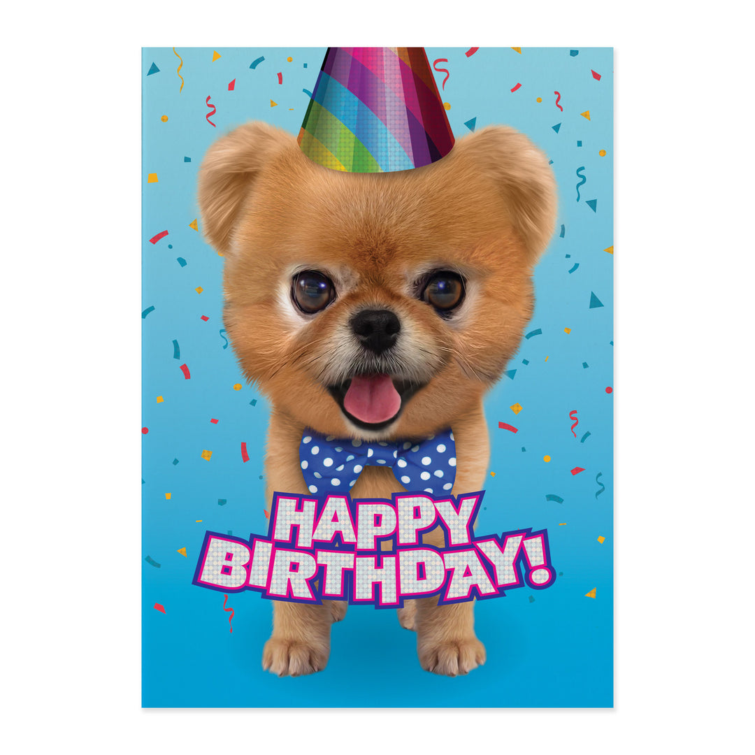 Teddy Bear Pomeranian Foil Birthday Card