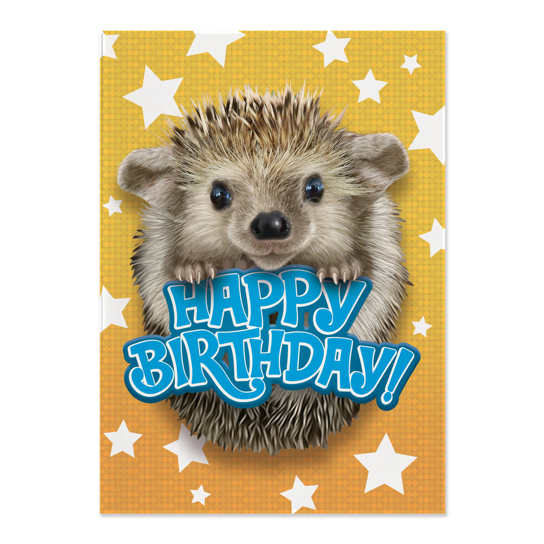 Foil: Hedgehog Card
