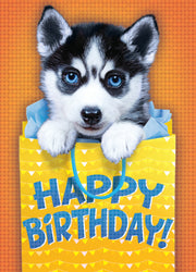 Foil: Realistic Husky Card