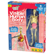 Ooze Labs: Squishy Visible Human Body | Thames & Kosmos