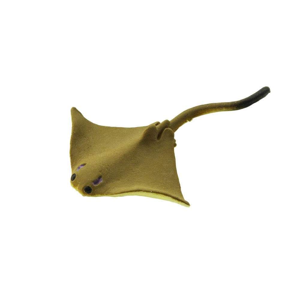 Cownose Rays | Good Luck Minis