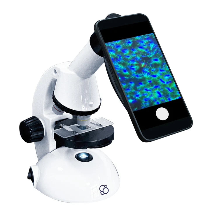 The Thames & Kosmos Microscope (with Smartphone Adapter) | Thames & Kosmos