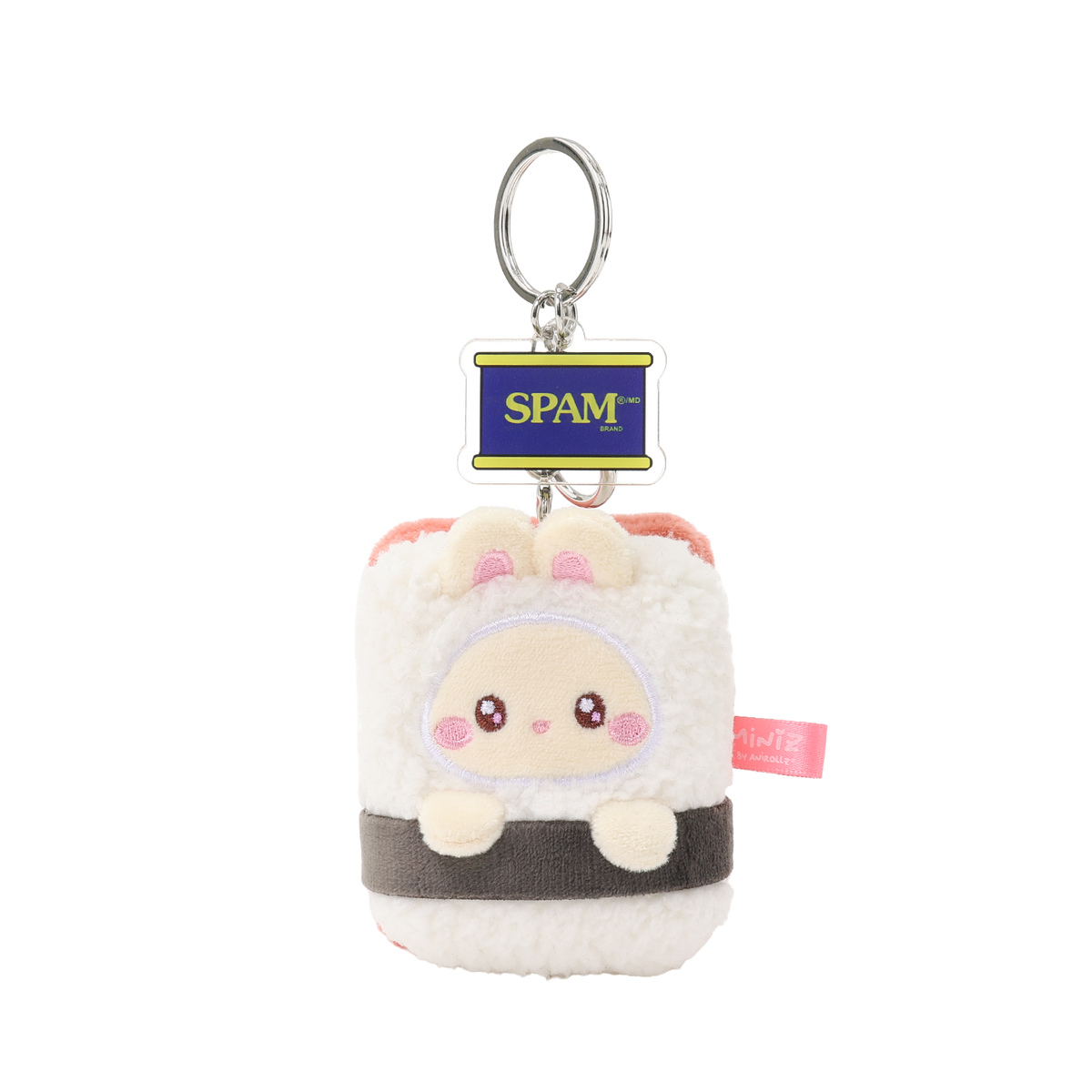 Miniz SPAM Surprise Box