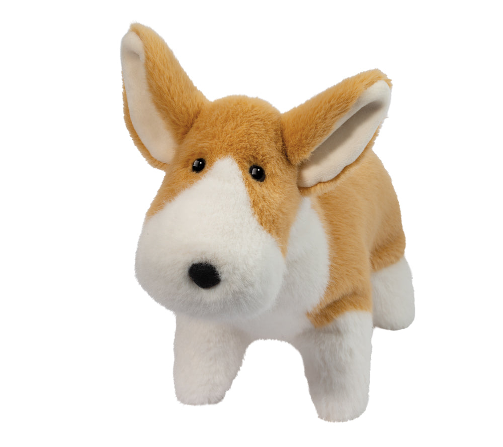 Carl Corgi Muzzle, Large | Douglas
