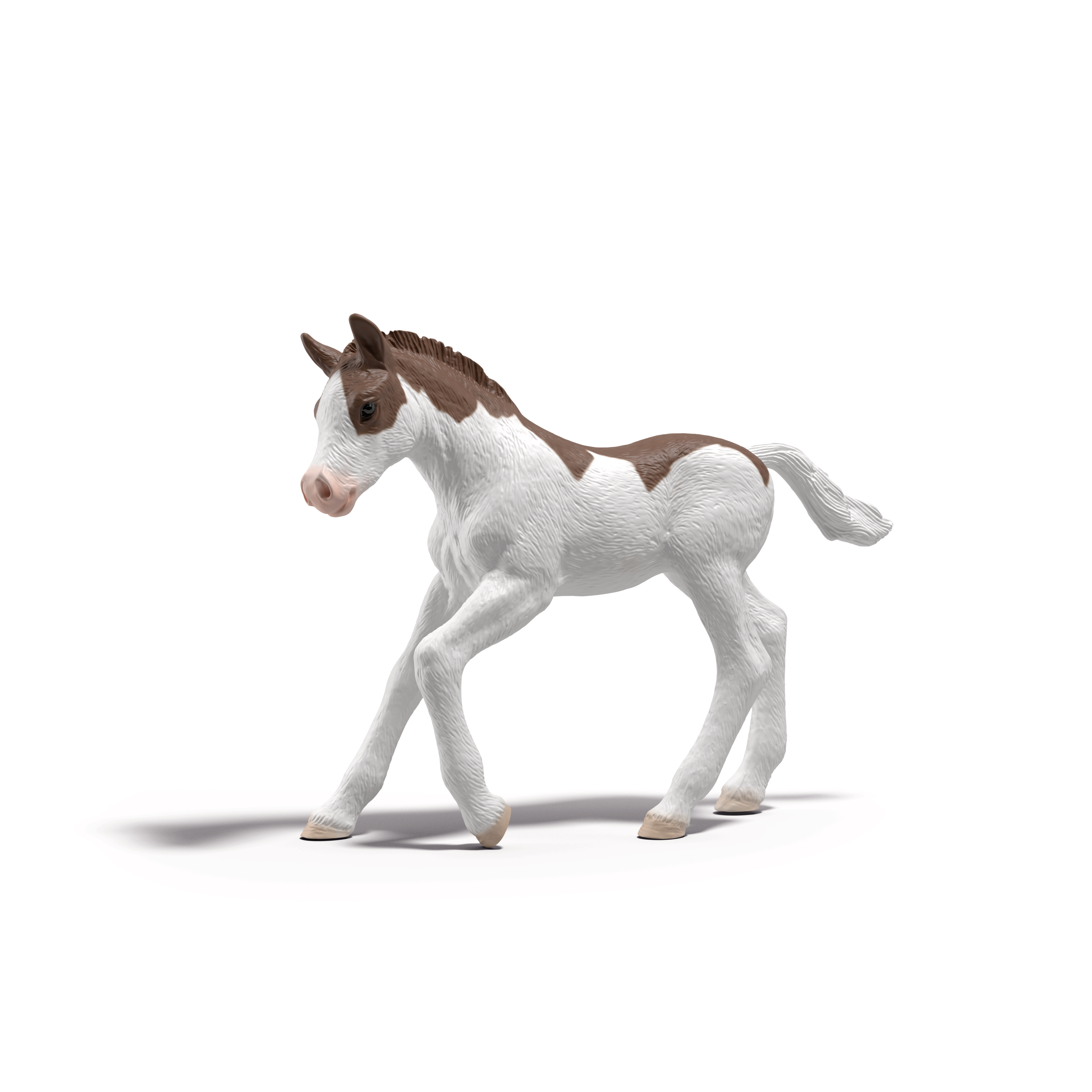 Horse Club Collectibles - Foals | Schleich