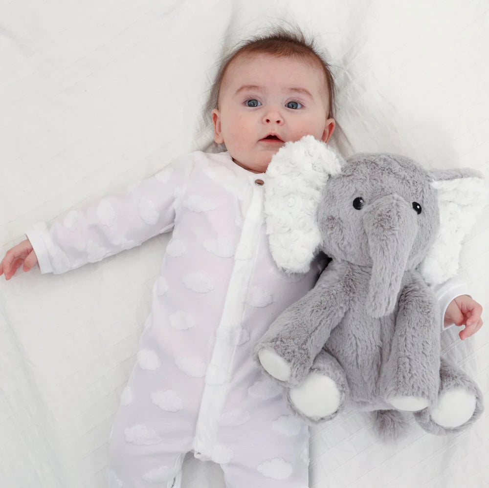 Eli the Elephant | Cloud b