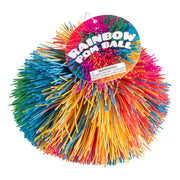 Rainbow Pom Ball | Toysmith