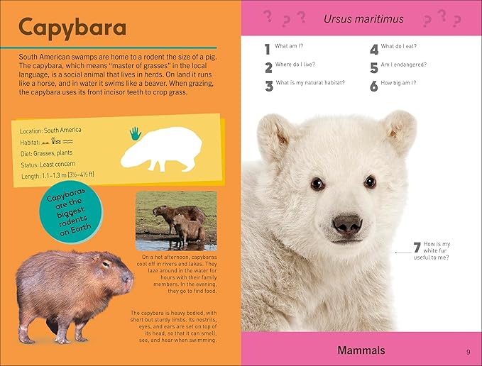 Quiz Yourself Clever! Animals of the World