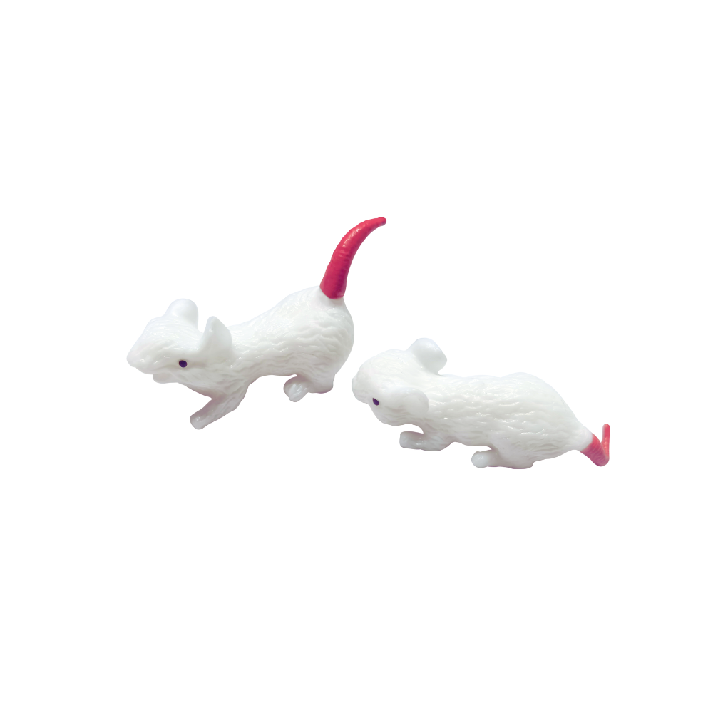 Squishi Mice & Cheeze | Incredible Group