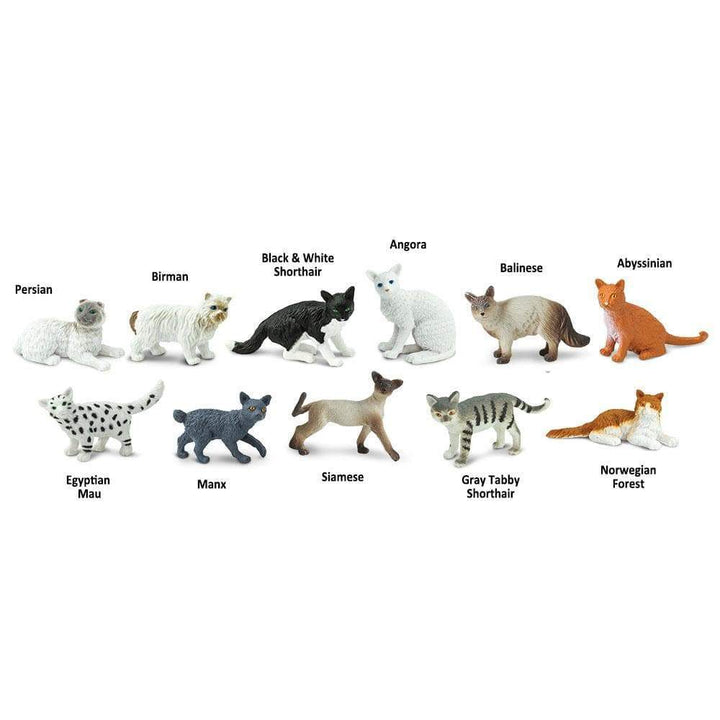 Domestic Cats TOOB | Safari LTD