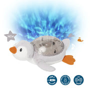 Tranquil Penguin | Cloud b