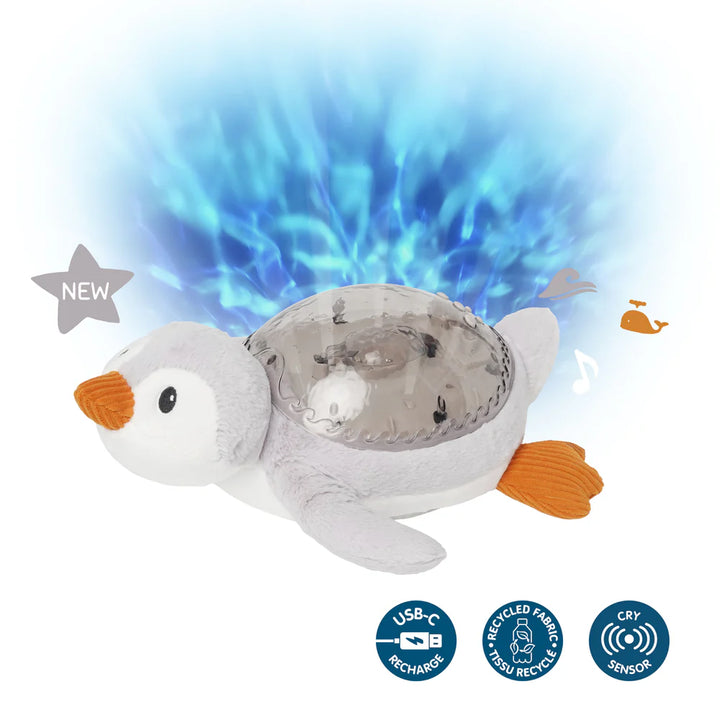 Tranquil Penguin | Cloud b