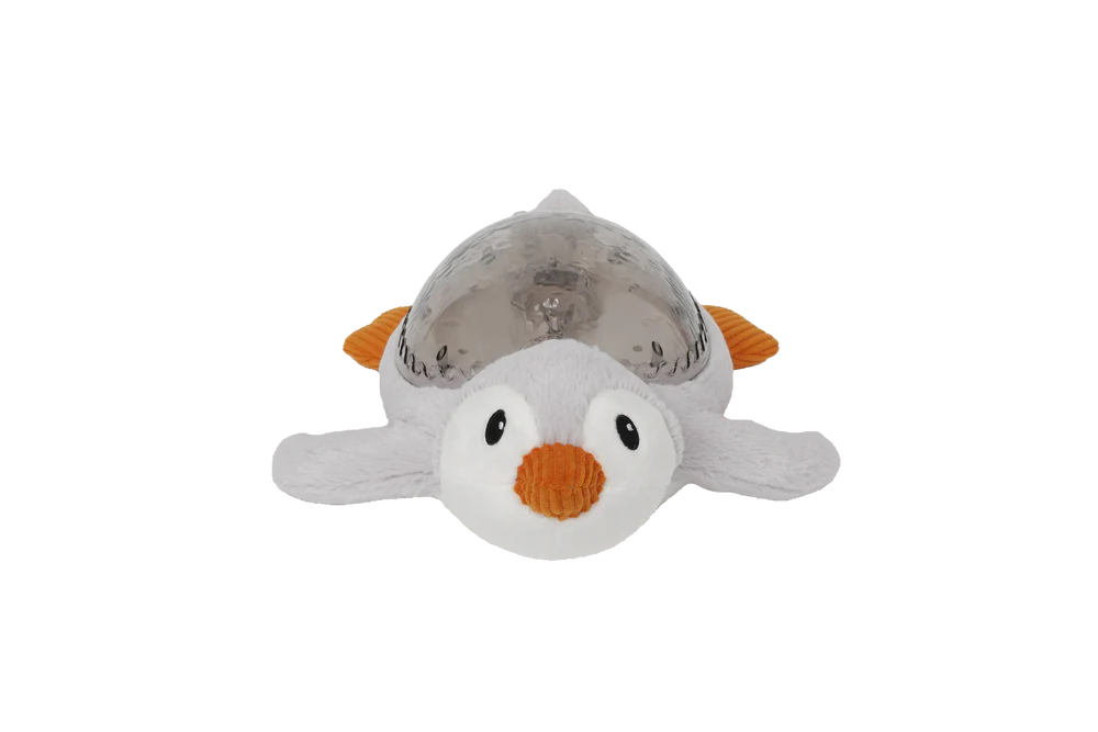 Tranquil Penguin | Cloud b