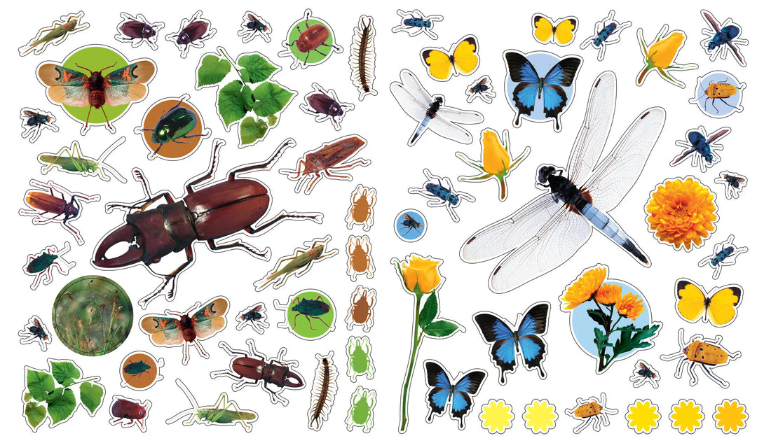 Eyelike Stickers: Bugs