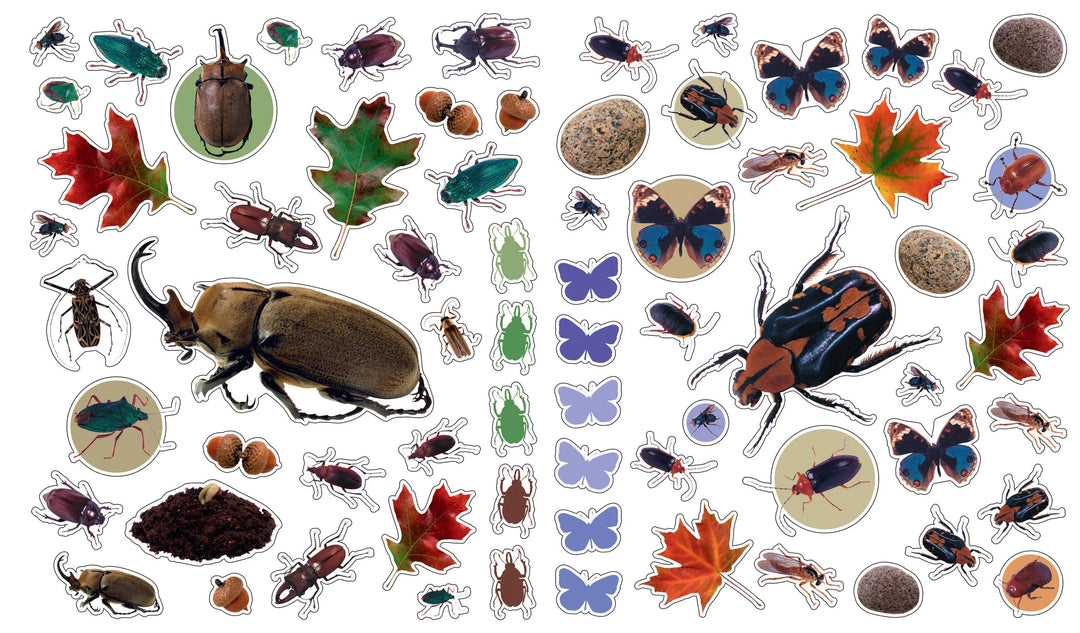 Eyelike Stickers: Bugs