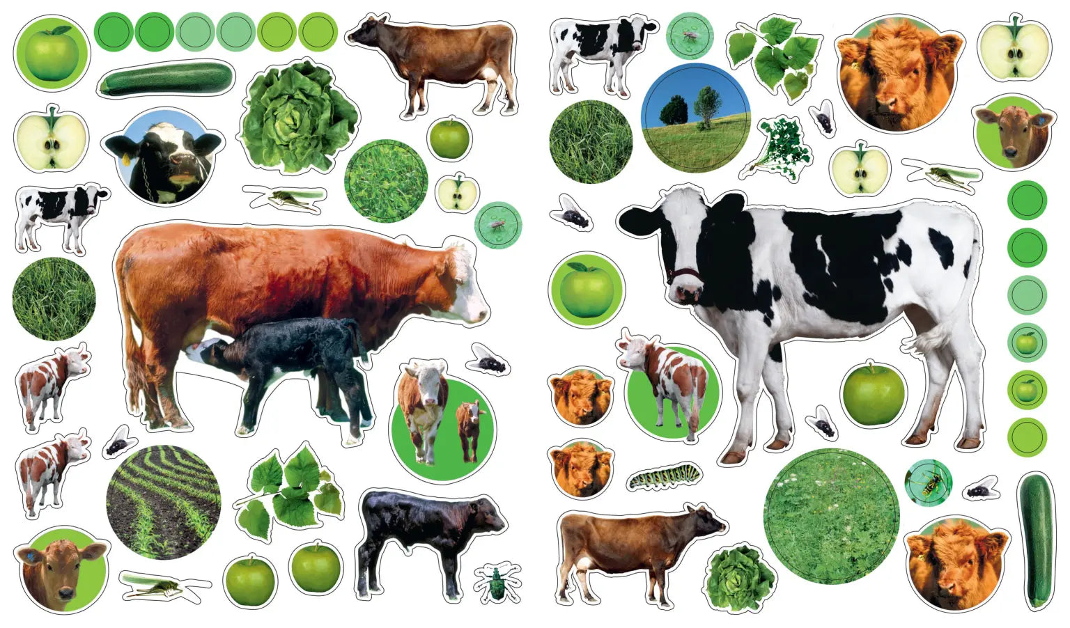 Eyelike Stickers: On the Farm