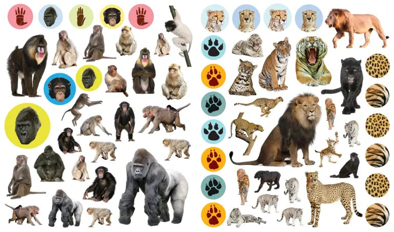 Eyelike Stickers: Wild Animals