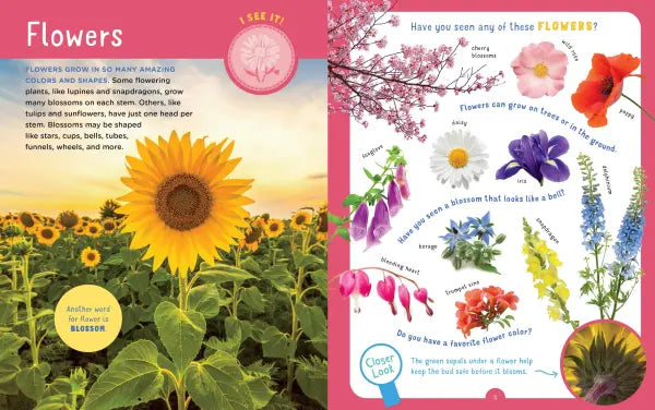 Backpack Explorer: Discovering Flowers & Plants