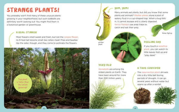 Backpack Explorer: Discovering Flowers & Plants