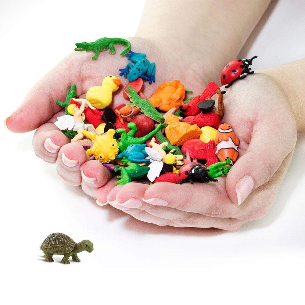 Tortoises | Good Luck Minis