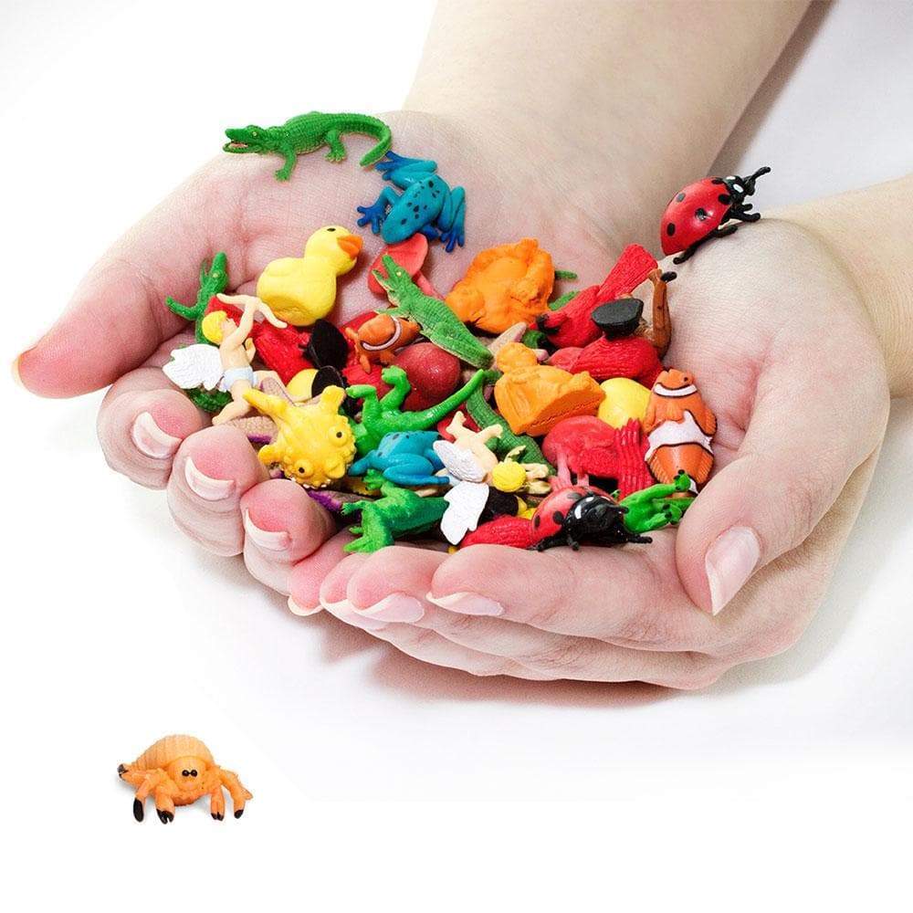 Hermit Crabs | Good Luck Minis