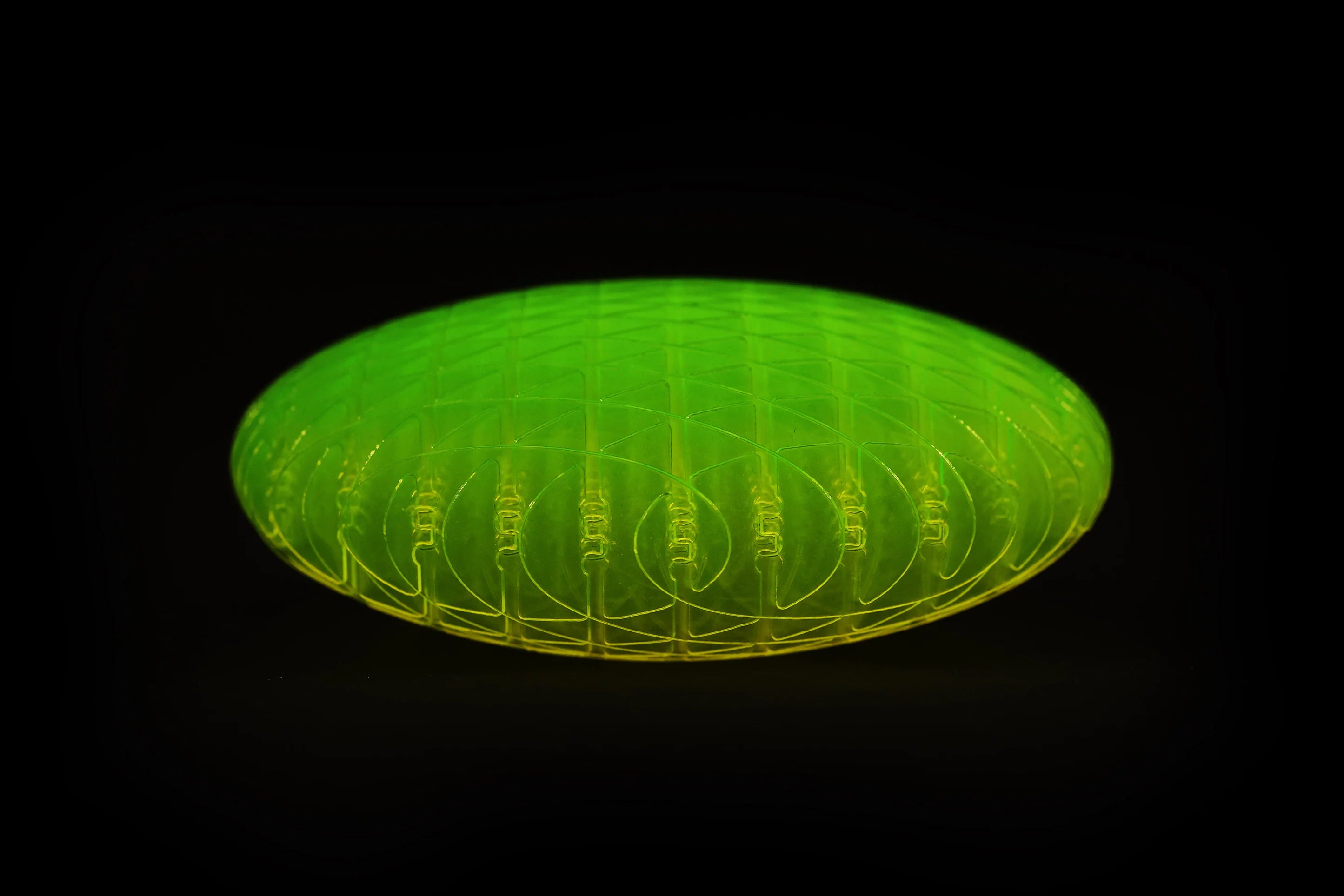 Morf Fidget Worm Green Big | Humango