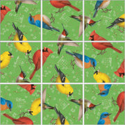 Bird Squzzle Puzzle | Fun Squared Games