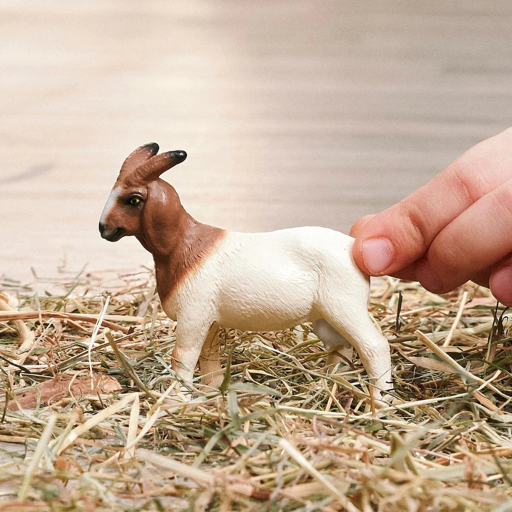 Boer Goat | Schleich