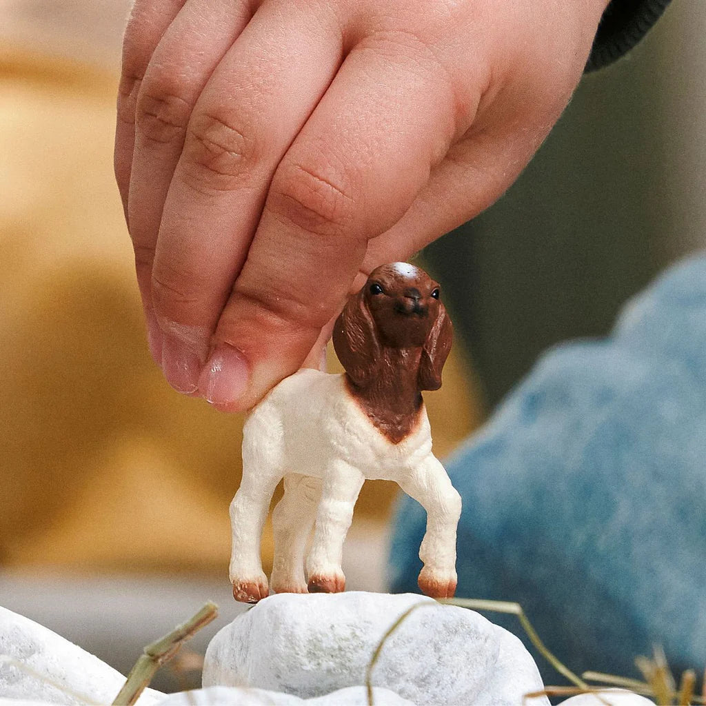 Boer Goat Kid | Schleich